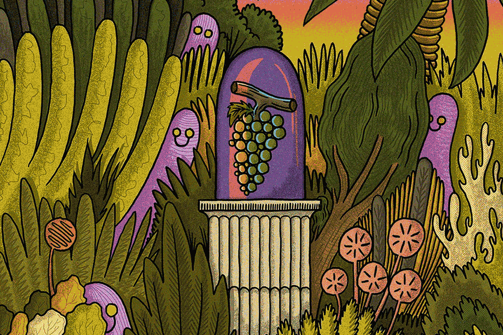  Fichtre Illustration