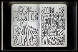 Fichtre Illustration