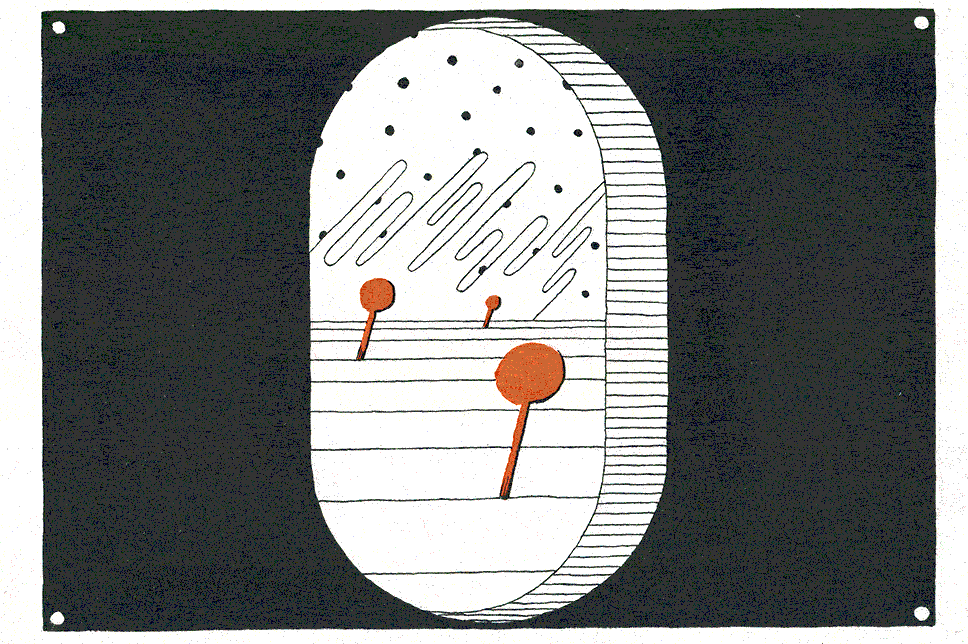  Fichtre Illustration