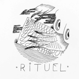  Fichtre Illustration