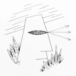  Fichtre Illustration