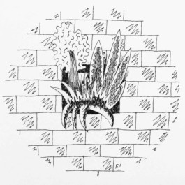  Fichtre Illustration