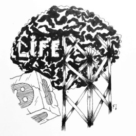  Fichtre Illustration