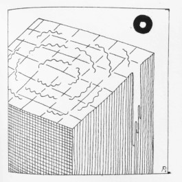  Fichtre Illustration