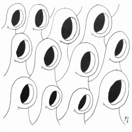  Fichtre Illustration