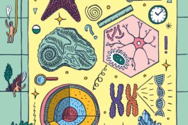 UNIL_FICHTRE Fichtre Illustration