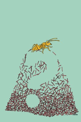  Fichtre Illustration