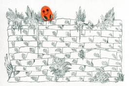  Fichtre Illustration